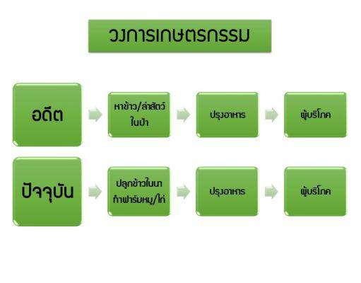 ขั้นตอน-เกษตรกรรม-ชาวไร่-ชาวนา-ชาวสวน