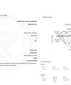 เพชรแท้ Lab Grown Diamond 1.02 กะรัต น้ำ 100 เกรด VS2 EX EX N พร้อมเซอร์ IGI (1CER526)