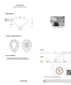 เพชรแท้ Lab Grown Diamond 1.01 กะรัต น้ำ 100 เกรด VVS2 EX EX N พร้อมเซอร์ IGI (1CER862)