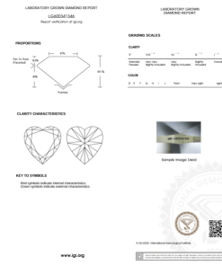 เพชรแท้ Lab Grown Diamond 1.06 กะรัต น้ำ 100 เกรด VVS2 EX EX N พร้อมเซอร์ IGI (1CER1063)