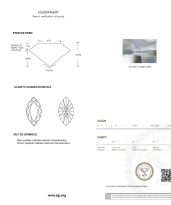 เพชรแท้ Lab Grown Diamond 1.00 กะรัต น้ำ 100 เกรด VVS2 EX EX EX N พร้อมเซอร์ IGI (1CER1173)