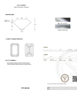 เพชรแท้ Lab Grown Diamond 3.02 กะรัต น้ำ 100 เกรด VS2 EX EX N พร้อมเซอร์ IGI (1CER1183)