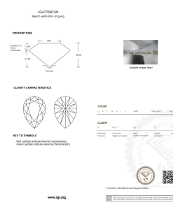 เพชรแท้ Lab Grown Diamond 1.00 กะรัต น้ำ 100 เกรด VVS2 EX EX N พร้อมเซอร์ IGI (1CER1193)