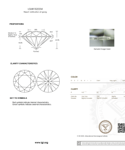 เพชรแท้ Lab Grown Diamond 1.01 กะรัต น้ำ 100 เกรด VVS2 ID EX EX N พร้อมเซอร์ IGI (1CER1305)